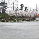 임마누엘요양원 이미지
