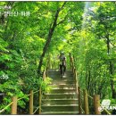 덕산계곡진입로 | 장안산(무령고개주차장~무령고개 영취산입구~영취산~무령고개 장안산입구~전망대~장안산~하봉~덕천암...