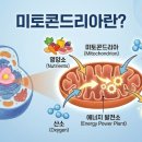 (주)코사트 이미지