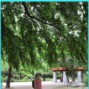 도립화목원 이미지