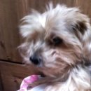 석관시장 이미지