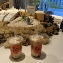 동문동537 | 제23회 대구단편영화제 DIFF <파동: 영화의 물결>