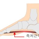 아비스가정의학과의원 이미지