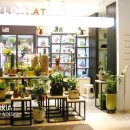 플로리아트(Floriat) 이미지