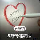 312 | 애플펜슬 저렴이 짭플펜슬 로랜텍 RRT-312 내돈내산 솔직 후기