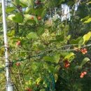 별무리 민박 이미지