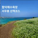아이와 제주 함덕해수욕장 후기, 서우봉 산책까지
