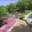 모락산 둘레길 이미지