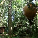 나무호텔 이미지