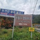 비발디캠핑파크 이미지