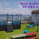 성산힐링펜션&게스트하우스 | 제주도 게하 게스트하우스 숙소 펜션 제주도 게스트하우스 파티 바랑쉬 성산점 파티와 감성을 동시에...
