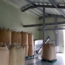 영심이네 이미지