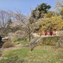 순천자연휴양림 이미지