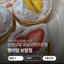 보람동_세종시청뒤편 | 세종 보람동 디저트맛집 쩡이당 과일모찌 답례품 단체선물 추천 (주차/메뉴/후기)