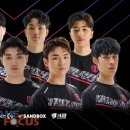 (주)샌드박스네트워크 이미지