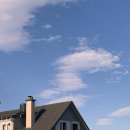 해변주유소 | [뉴질랜드 워홀268-270] 주말로그(카페, 해변, 롤드컵 결승)