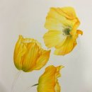 세밀색연필화 이미지