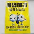 리파인빌(골프프랜드) | 화곡골프샵 기존 클럽 안전하게 보상교환하고 마제스티 마루망SG 풀세트로 바꾼 후기