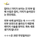 230526 캐시워크 - 밀크터치 이미지