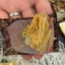 옥이네매운탕 | [서울/ 광진] 아차산역 근처 강추하고 싶은 횟집 “옥이네 수산” 대방어 내돈내산 후기