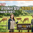 [6시내고향] 대구 군위에서 찾은 건강의 정석, 석우사슴농장 방문기