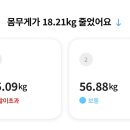 다이어터