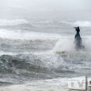 장산약국 이미지