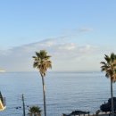 또시애월 이미지