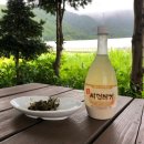 해오름껍데기 이미지