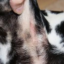 해원 동물병원 이미지