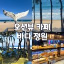 고성군청신관(3층) | 속초 근교 카페 찾다 발견한 고성 바다뷰 대형카페 | 바다정원 솔직 후기