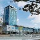 행정용 80 이미지