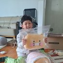 신재인랜드 네이버블로그