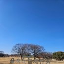 생태공원안내소 | [부산여행 추천] 부모님, 아이들과 가기 좋은 을숙도 생태공원, 낙동강 에코센터 여행후기(Feat. 전동카트)