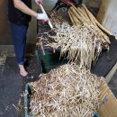 대일상회 이미지