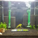 성지EMB | 흑비항 추가