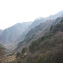 내린천의 봄 이미지