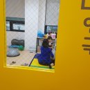 밝은아이아동발달센터 이미지