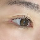대구 중구 속눈썹 펌 잘하는집 &#39;무드로우&#39; 솔직 후기