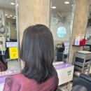 신데렐라미용실 네이버블로그