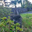 신효동-16 이미지