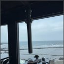 바다를 품은 돼지 네이버블로그