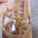 숙이네버섯