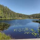 🇫🇮가을 핀란드여행 후기가 없어도 너무없어서 써보는 후기🇫🇮 -1 이미지