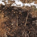 내곡농장 이미지