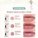 동화기획인쇄 | 딘토(Dinto) 구미호 에디션 출시 소식 | 한국적인 콜라보 못 참아.. 전 제품 내돈내산 했어요