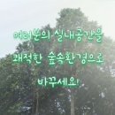초록느낌 - 수원시 권선구 세지로94번길 20 | 초록느낌