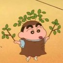 연정가든 | W8_💍본식 드레스가든 청담, 베리굿 슬키부장, ALL FOR...혜원부원장님 연정부원장님 강력추천 후기👰🏻‍♀️❤️🤵🏻