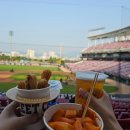 광주117 | 광주 기아타이거즈 야구 직관 후기(광주기아챔피언스필드 3루 K9 117 25열)