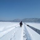 마당이수목원 이미지